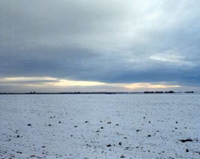 The lowland Puszta in Winter